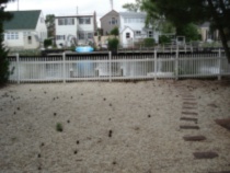 821 Beach Haven West Blvd., backyard